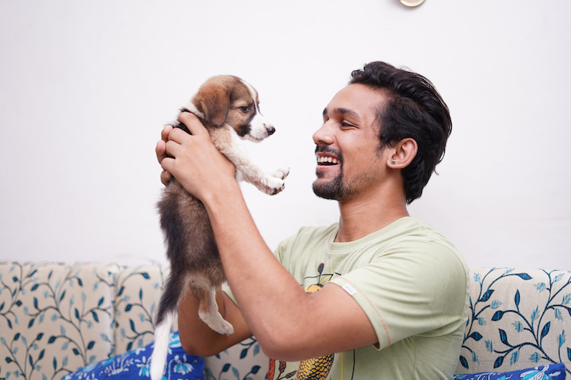 9 Best Pets To Have!