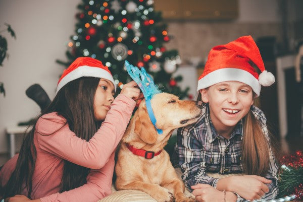 2 girls playing with their dog at Christmas