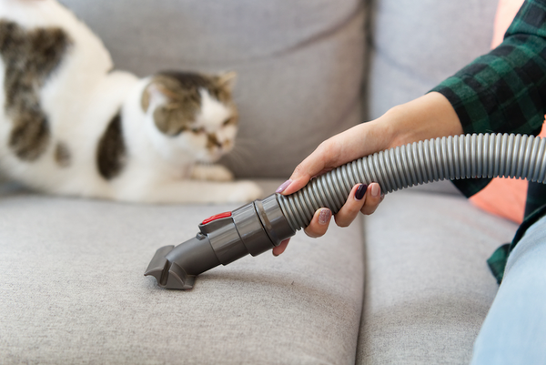 Best house best sale vacuum for pets