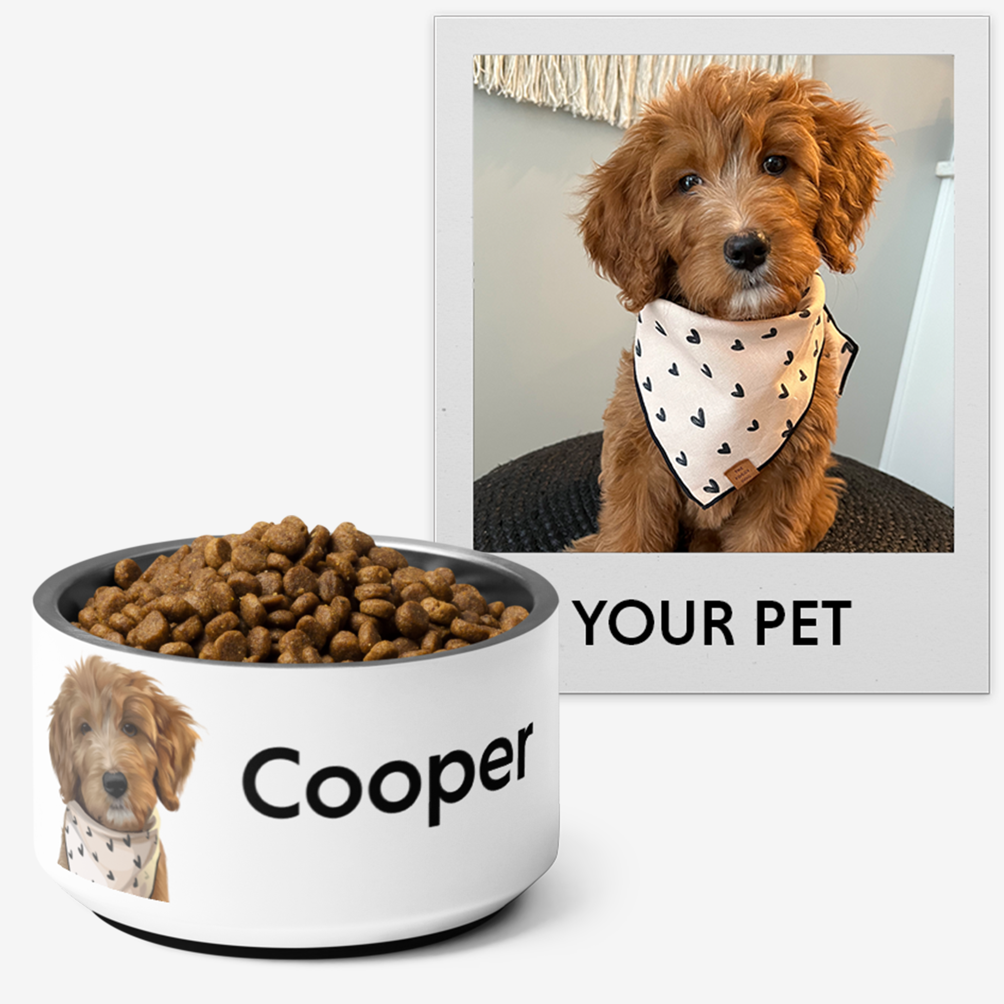 Custom Pet Bowls – Print Our Pet - Main Image
