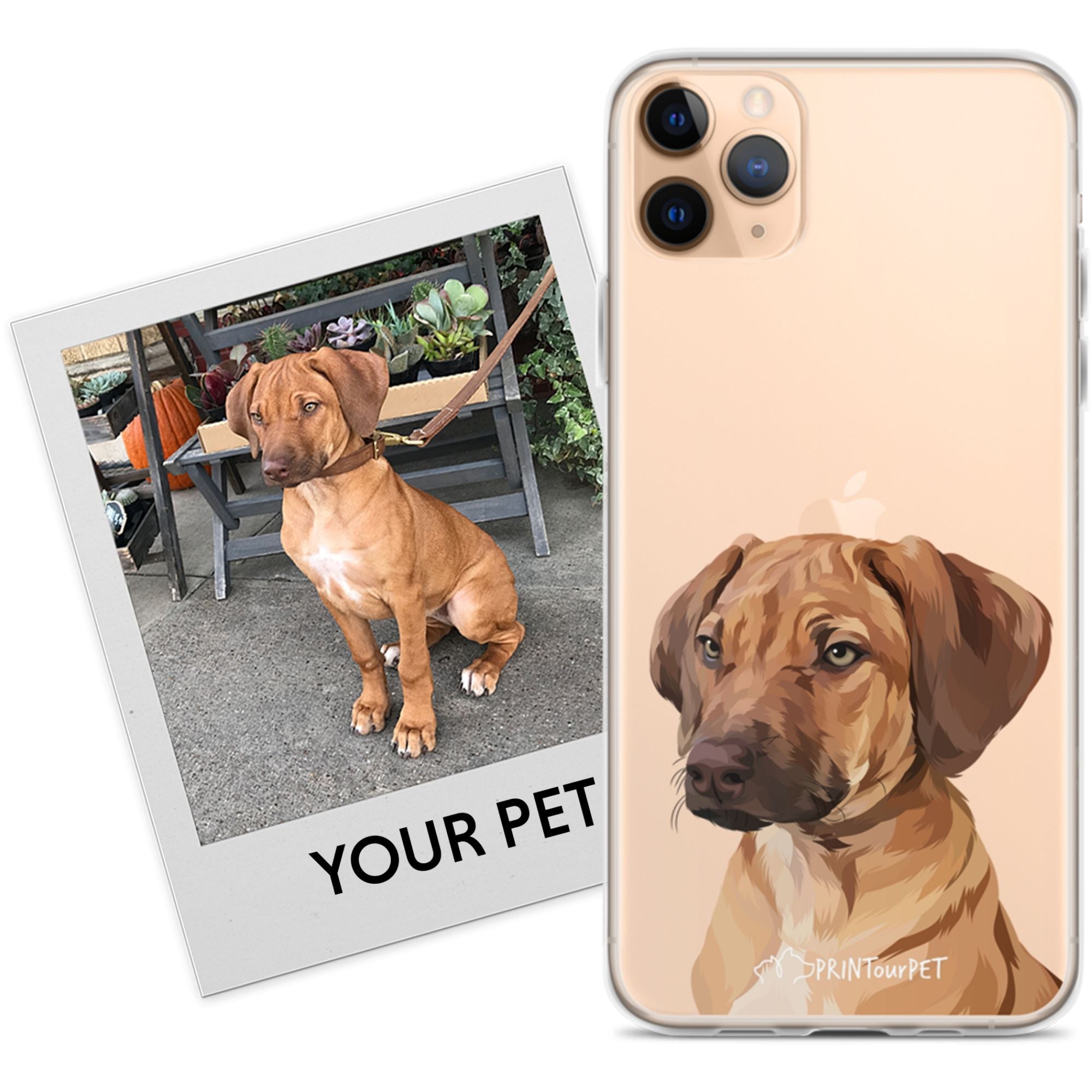 Custom Pet Phone Case--test