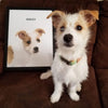 Custom Pet Portrait (Framed)---Test