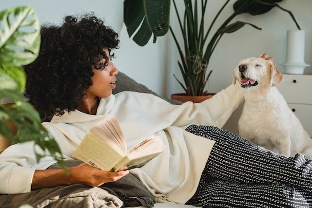 The best air clearance purifier for pets