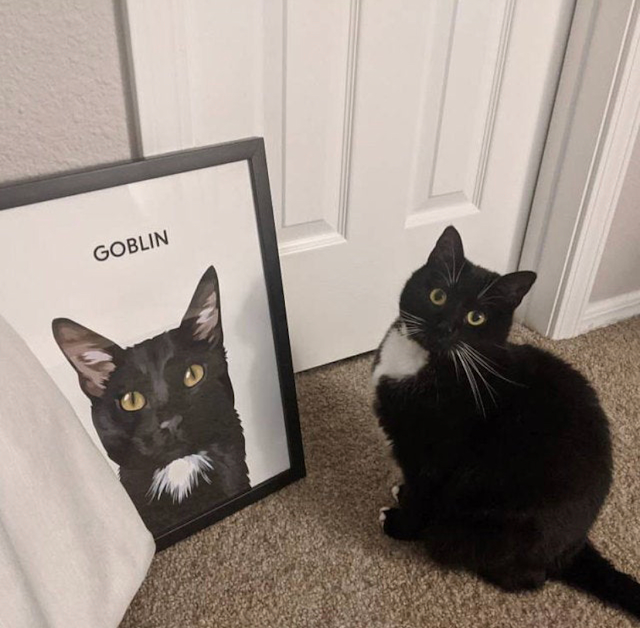 How To Get A Cat Painting From Print Our Pet