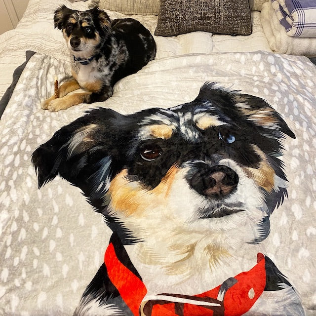 A pooch lying on a custom pet photo blanket