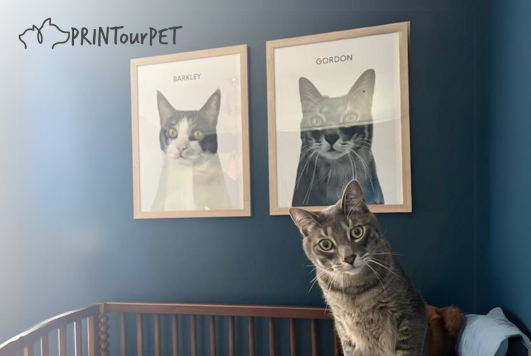 Caring for and Maintaining Your Custom Pet Portrait - 5 Tips