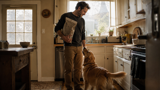 The Pet Dads Who Quietly Run Our Lives