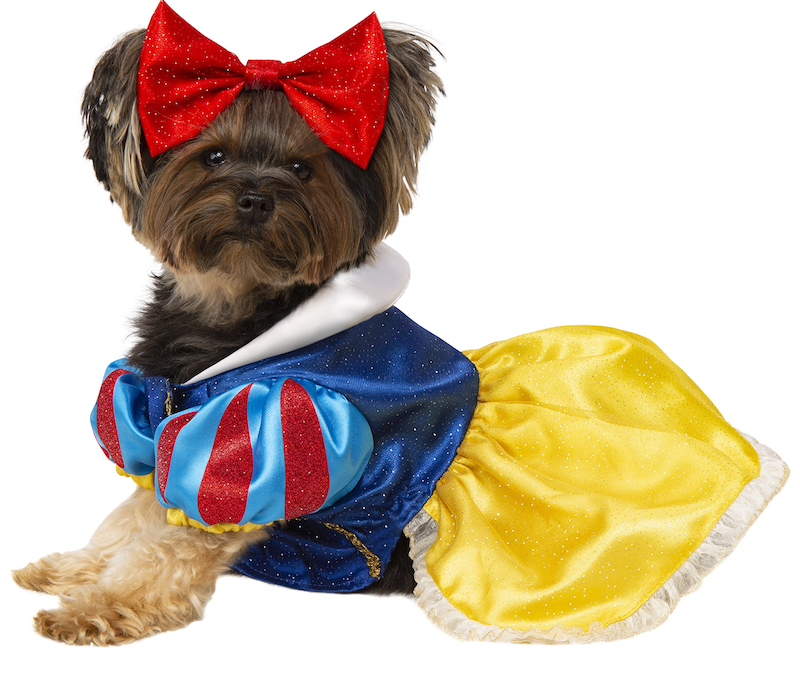 Beautiful dog and owner costumes to try out