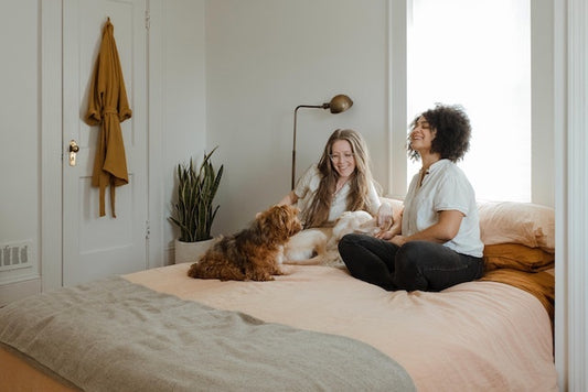 How To Find Airbnb Pet Friendly Listings