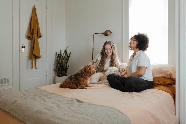 How To Find Airbnb Pet Friendly Listings