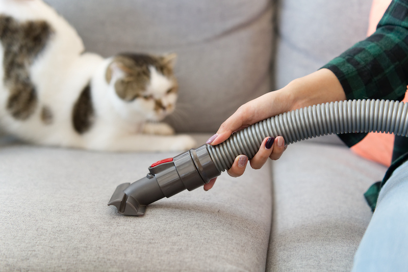 Best Vacuum For Pet Hair: Your Guide to Hassle-Free Cleaning