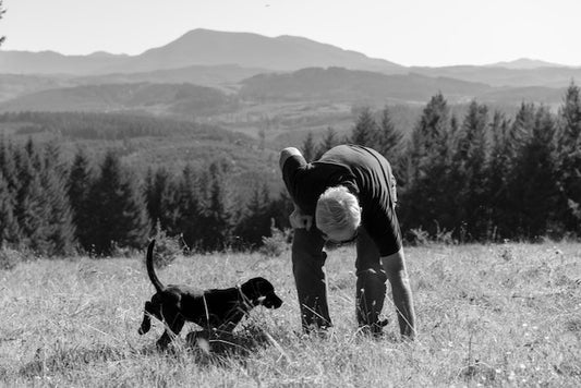 Pet Memorial Gifts