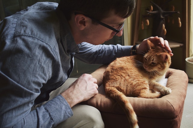 A man in glasses petting his pet cat