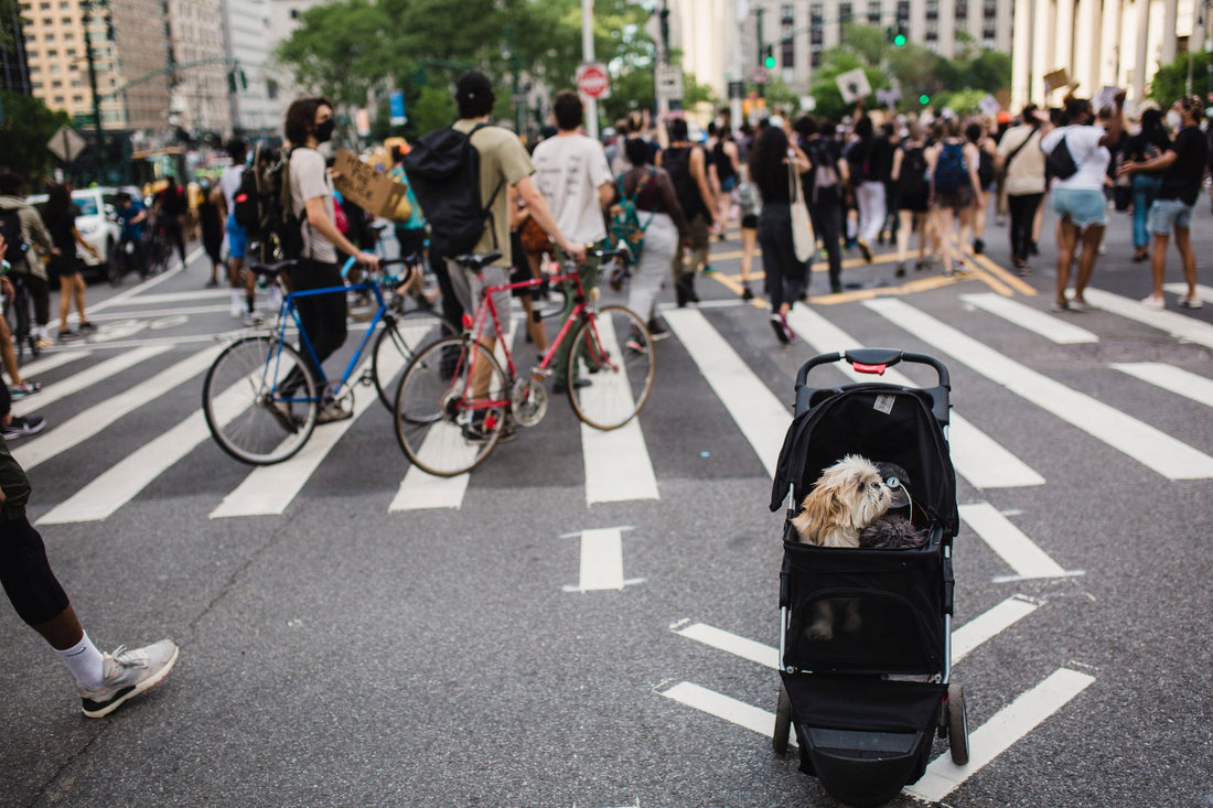 pet stroller