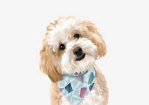 Custom Pet Portrait (Test)