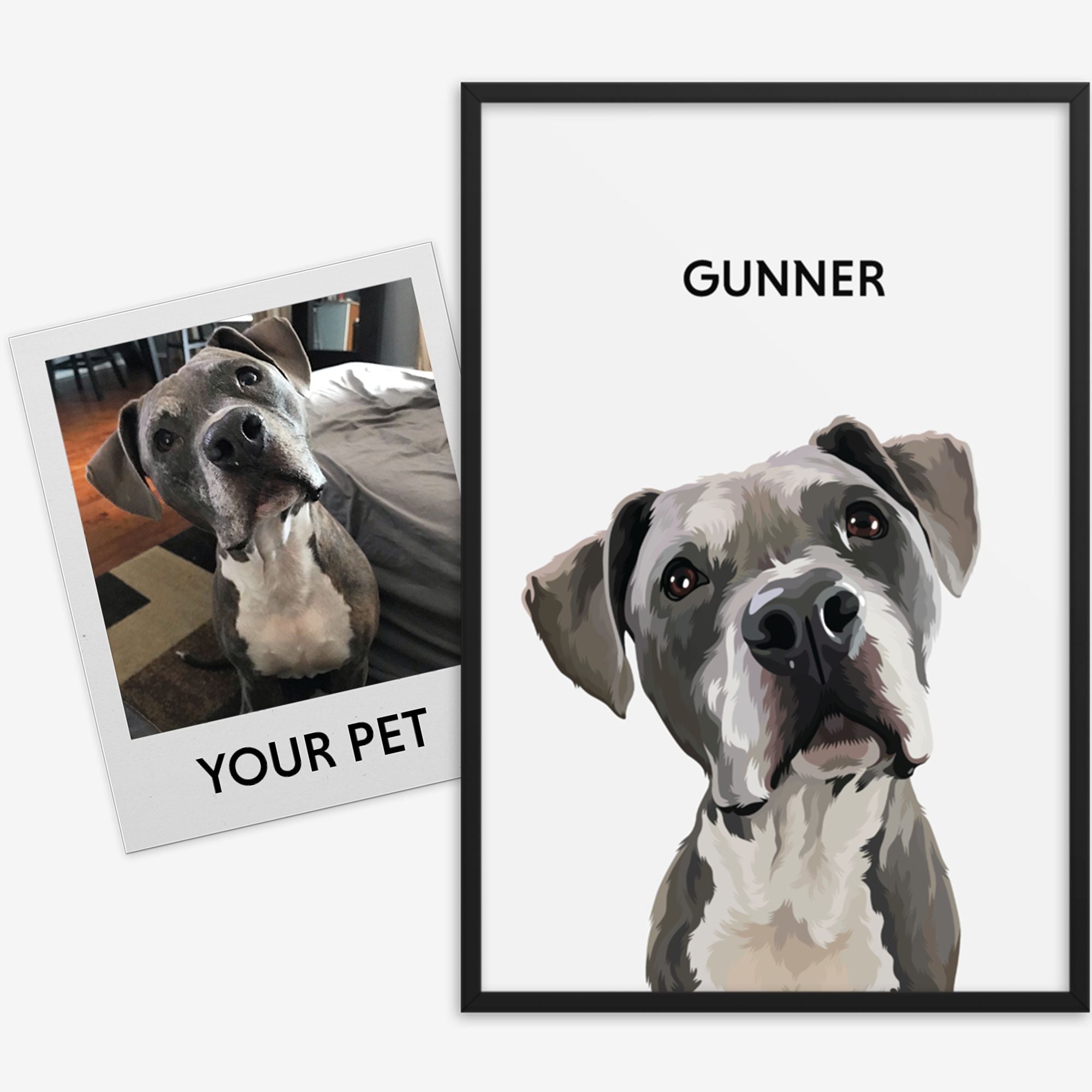 Custom Pet Portrait (Framed)---Test