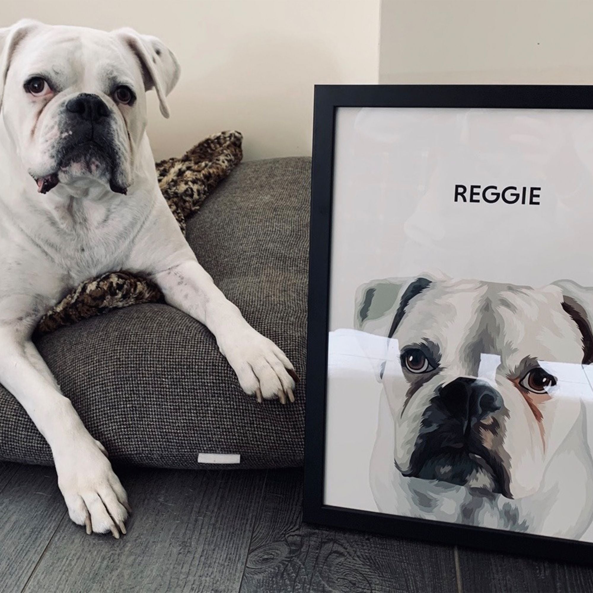 Custom Pet Portrait (Framed)---Test